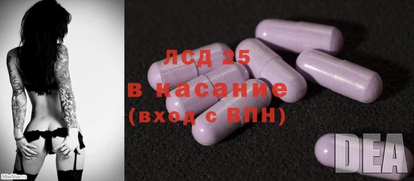 ПСИЛОЦИБИНОВЫЕ ГРИБЫ Алзамай