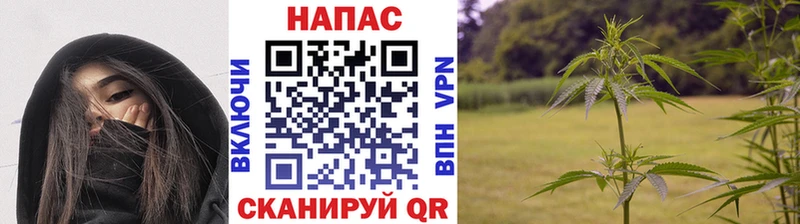 маркетплейс наркотические препараты  Пучеж  Бошки Шишки AK-47 